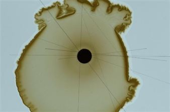 The Habitat of Time - Arts Catalyst