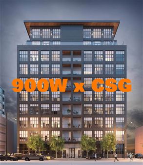 900W x CSG - Carrie Secrist Gallery