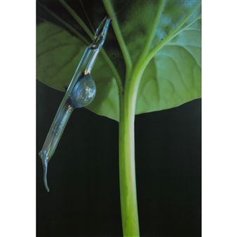 Composizione - Davide Sebastian