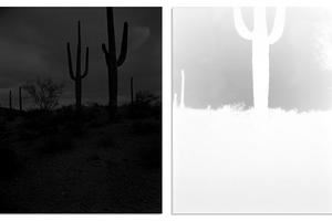 Scott B. Davis: Place in the Sun - Catherine Edelman Gallery