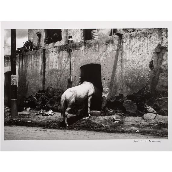 El Caballo Sin Rival by David Maawad, dated  1980