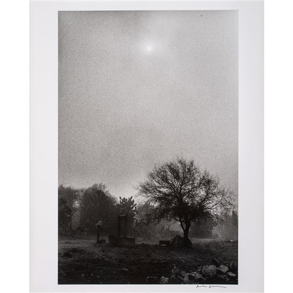 El Pozo - David Maawad