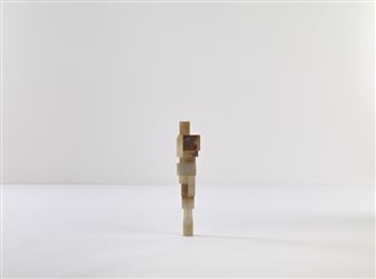 SPLICE MODEL II ƴģ II - Antony Gormley