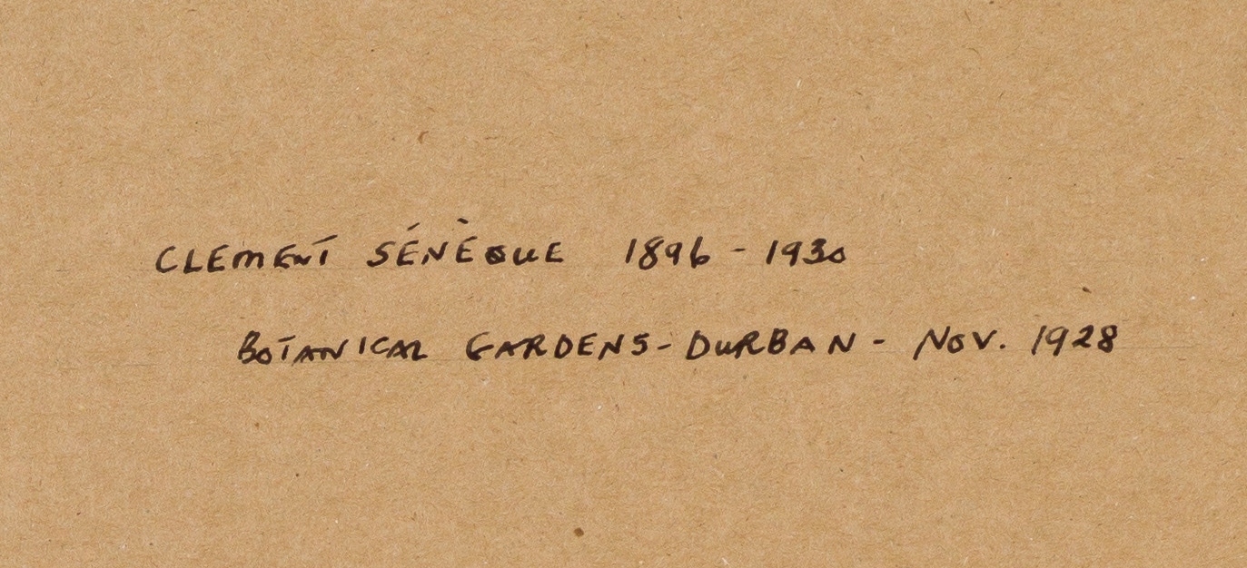 Artwork by Clément Sénèque, Botanical Gardens, Durban, Made of chalk pastel on paper