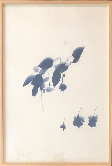 Two Works: L'ombre d'une fleur de Madère pour le jardin du Maroc; Ombre de fleurs by Lourdes Castro