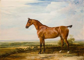 From a £16m Rembrandt to a £3,000 Dolphin, London Art Week for Every (Ok, Some) Budgets