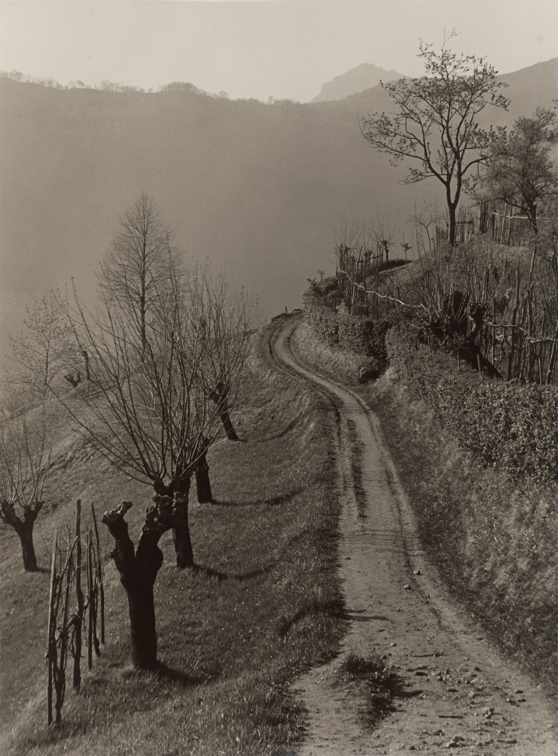 Montagnola, Tessin by Albert Renger-Patzsch, Circa 1938