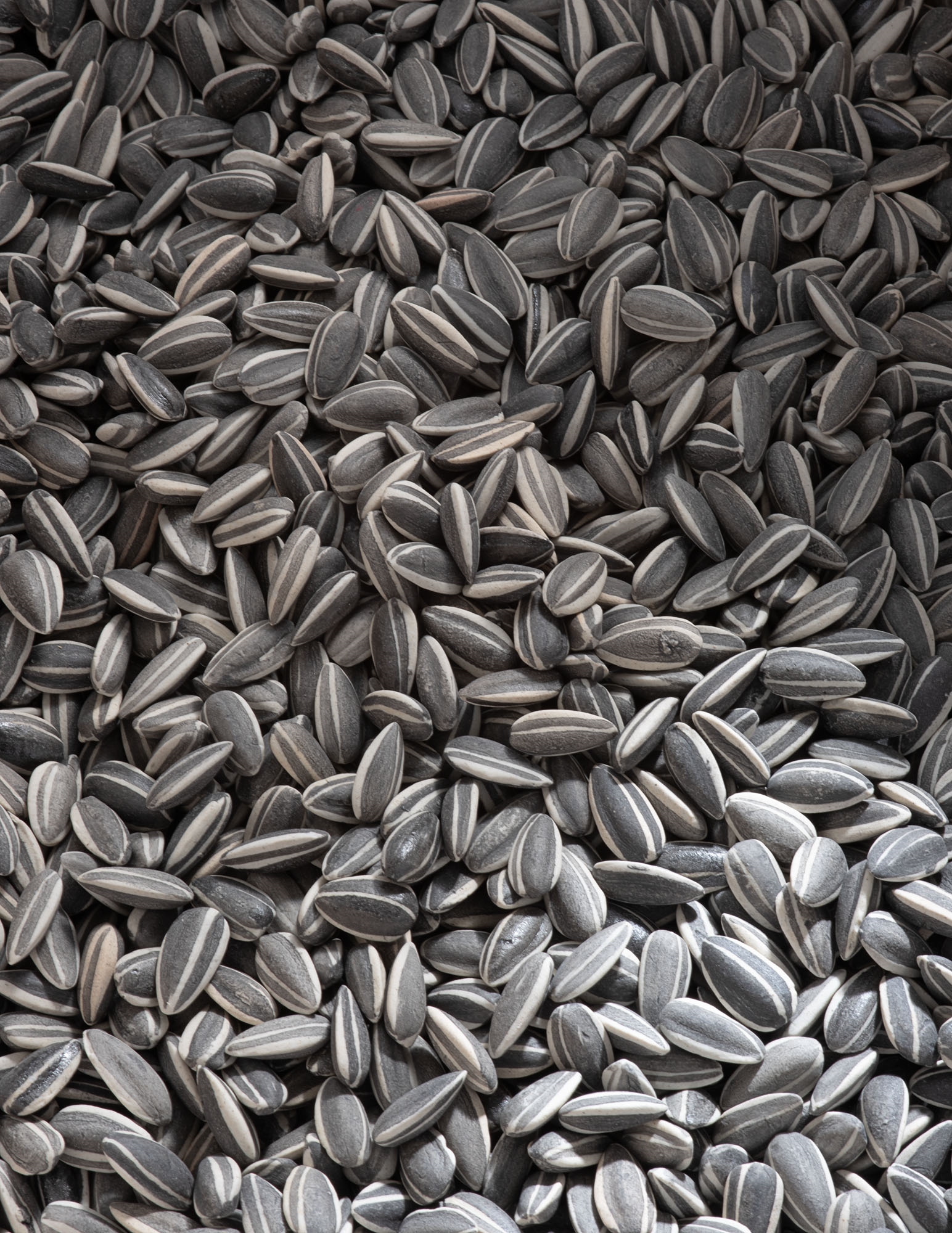 Ai Weiwei Kui hua zi (Sunflower seeds) MutualArt