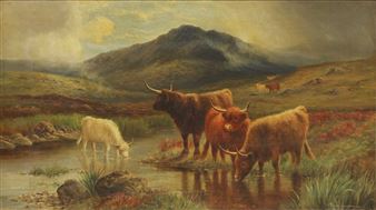 Highland cattle watering in a stream - A. Farquharson