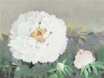 Peony - Nori Oya