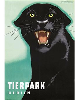 Tierpark (Panthère/ Panther) Ancien Zoo de Berlin Est DDR by Horst Naumann, 1963