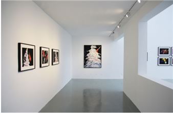 Xiao Ge: Jin Li & Other Wonders - Amy Li Gallery