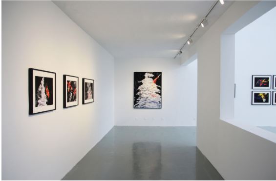 Xiao Ge: Jin Li & Other Wonders - Amy Li Gallery