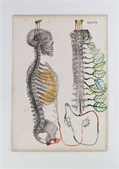 Nives Widauer, Deidre O'Leary & Stephanie Sczepanek: Tout Porte À Croire - Waldburger Wouters, Basel