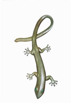 Untitled - Simona Vergani