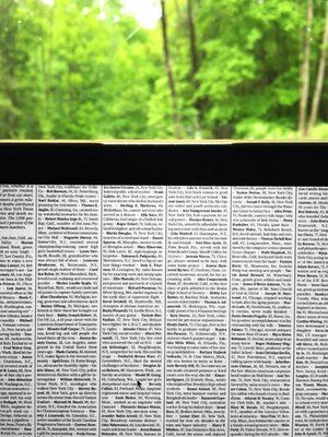 Social Photography VIII - Carriage Trade