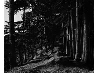 ONLINE: In Touch III: Dileep Prakash: Sleeping In The Forest - Photoink