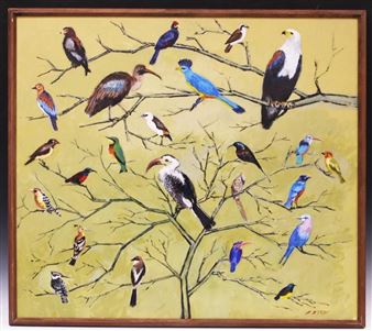 Portrait of Birds Species - Clarence Emory Bates