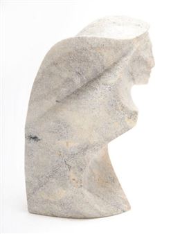 Aurora - Dancing in the Northern Sky - David General