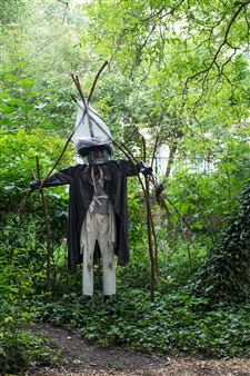 Hairy Earthtongue, Weeping Toothcrust, Fairy Rings - FUTURA