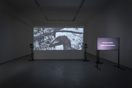 [En/Sk] ‘Model for Extinction Survival: Take to the Sky’ by András Cséfalvay at Soda Gallery