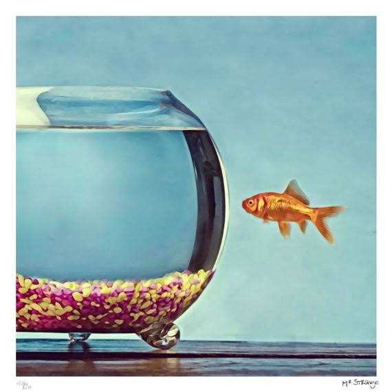 Le poisson rouge by Mr. Strange, 2019
