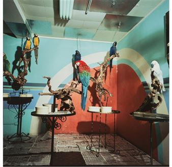 Parrot Room - Kenneth McGowan