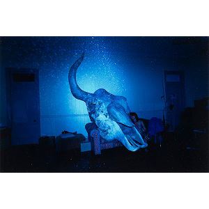 CANARY/ “OUT OF EDEN” by Lieko Shiga , 2007