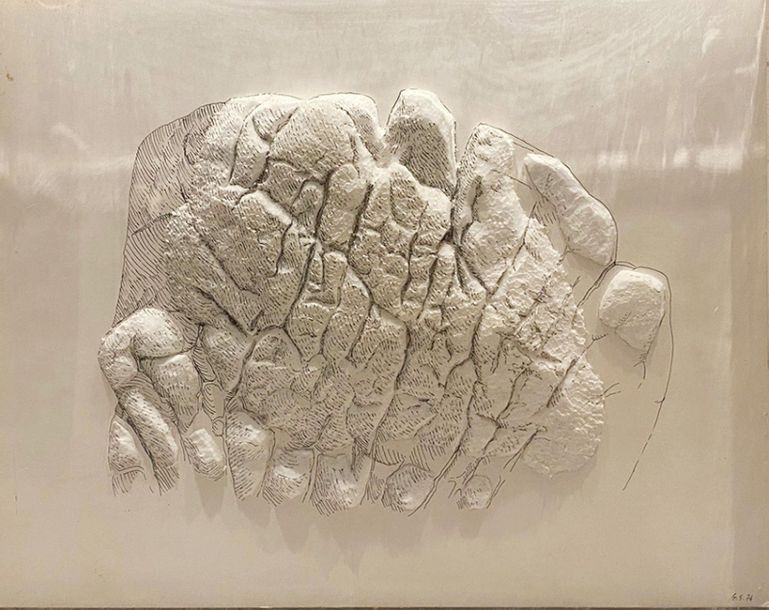 Gérard Singer | Dessin de nature N°5 (1976) | MutualArt