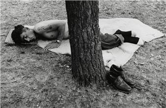 Summertime Specials - Gitterman Gallery