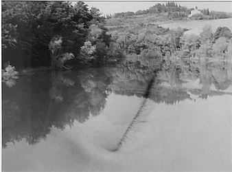 Daniela De Lorenzo 4 Artworks At Auction Mutualart