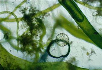 Exhibition Spoiled Waters Spilled Within Manifesta 13 Les Parallèles Du Sud