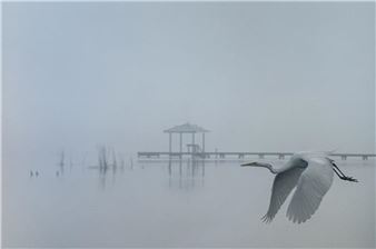 "Lake Placid FL," - Mark Indig