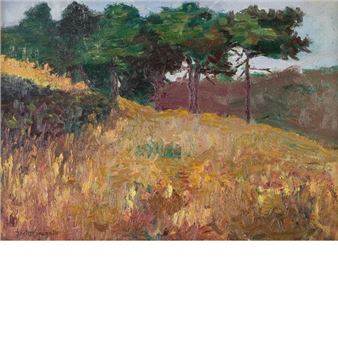 Campagna presso Tortona - Sexto Canegallo