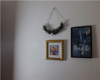 Anthropology - Belfast Exposed