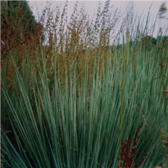 Near & Far. Stones, fish, paths, flowers, clouds - Kunstmuseum Magdeburg