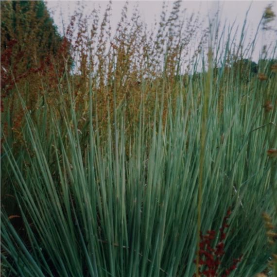 Near & Far. Stones, fish, paths, flowers, clouds - Kunstmuseum Magdeburg