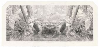 Real Worlds. Dobell Australian Drawing Biennial 2020 - Art Gallery of New South Wales