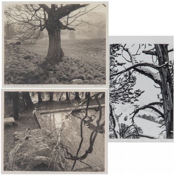 Daniel Rohn | 1 Artworks at Auction | MutualArt