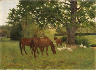 Cavalli al pascolo - Arthur Lemon