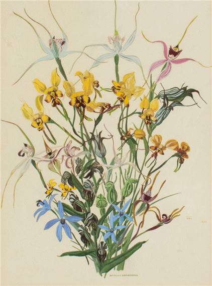 NATIVE ORCHIDS by Nerelie Derbyshire