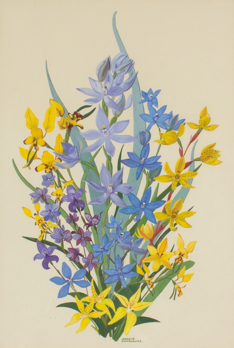Artwork by Nerelie Derbyshire, NATIVE ORCHIDS II, Made of Gouache