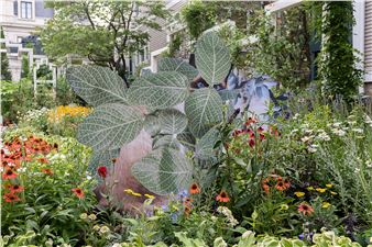 Stephen Eichhorn: Cats & Plants & The Looking Glass Gardens - Carrie Secrist Gallery