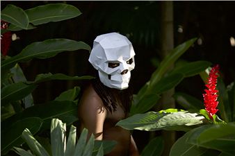 Raquel Paiewonsky: Insideout - University Art Gallery, University of Massachusetts Dartmouth