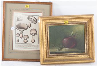 Allan oil & Mushroom - Donald F. Allan