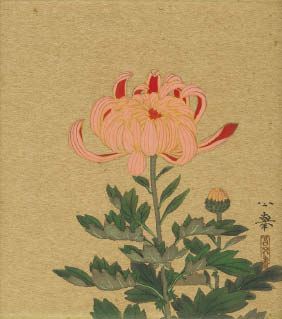 Chrysanthemum Scent - Kokyo Mori