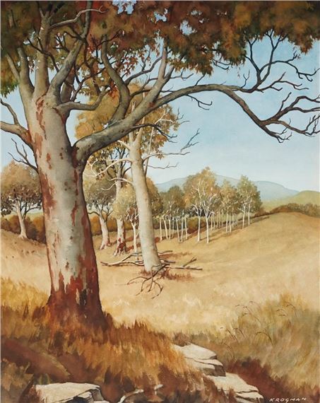 View to Hills & Mountains, Wagga by William Krogman
