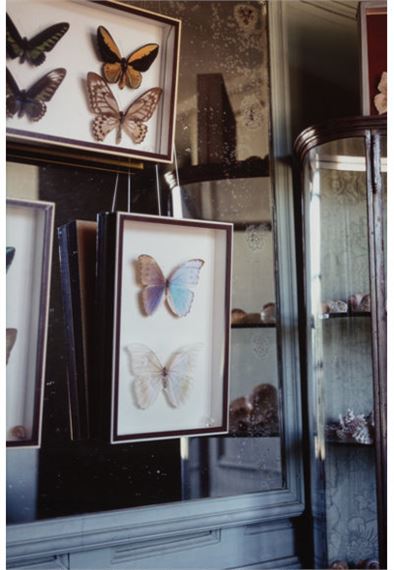 Butterfly Boy by Seton Smith, 1993