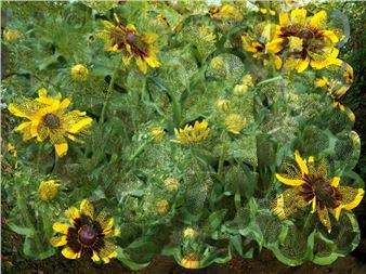 ONLINE: Helen Sear: In Waiting - James Hyman Gallery, 50 Maddox St