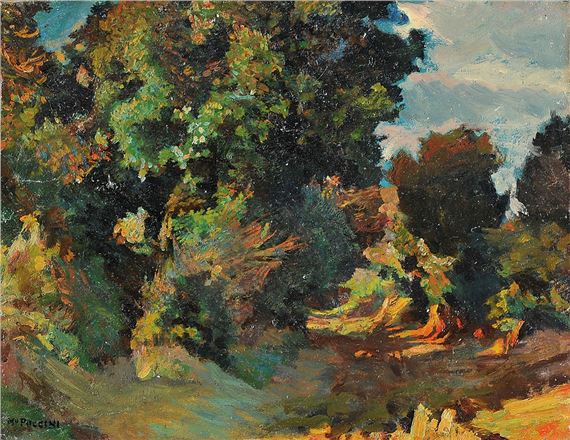 BOSCO by Mario Puccini, 1915 - 1916